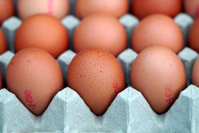 eggs
