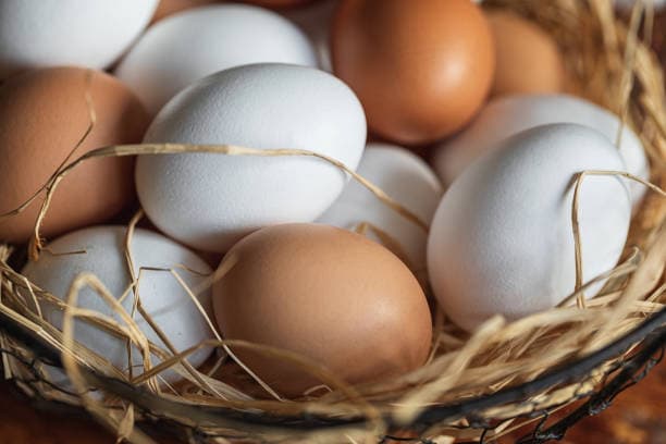 local eggs
