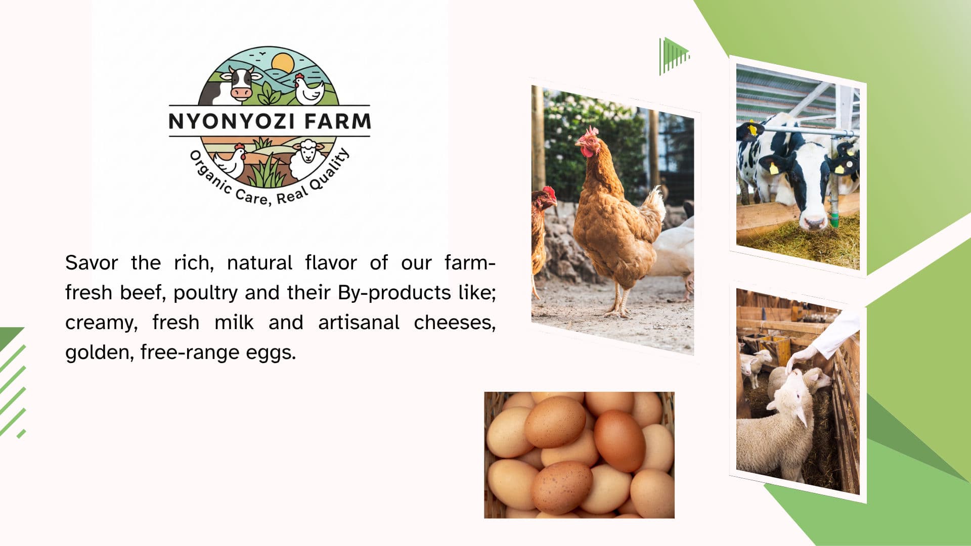 Nyonyozi Farm